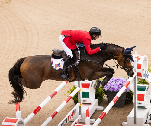 International Show Jumping in Traverse City |  $75,000 CSIO3* Traverse City Nations Cup image