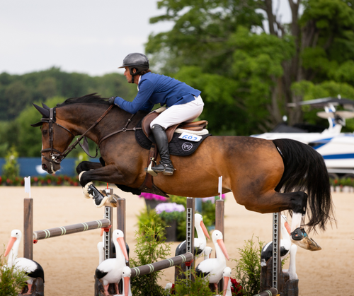 Summer Saturday Grand Prix in Traverse City | $116,000 World Wide Technology CSI3* Grand Prix image