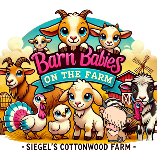 Barn Babies at Siegel's Cottonwood Farm poster