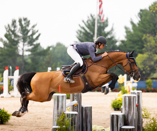 International Sport & Rising Stars in Traverse City | $116,000 CSI3* Grand Prix image
