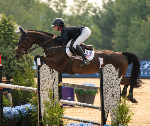 Future Olympians Compete in Traverse City | FEI North American Youth Championships Young Rider Final image