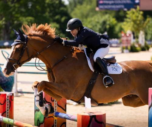 Saturday Afternoon Horse Jumping in Traverse City | $116,000 CSI3* Grand Prix image