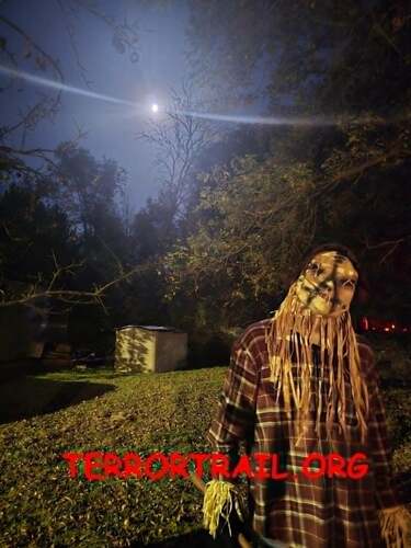 TERROR TRAIL image