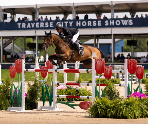 Family-Friendly Summer Event in Traverse City | $181,200 CSI4* Grand Prix image